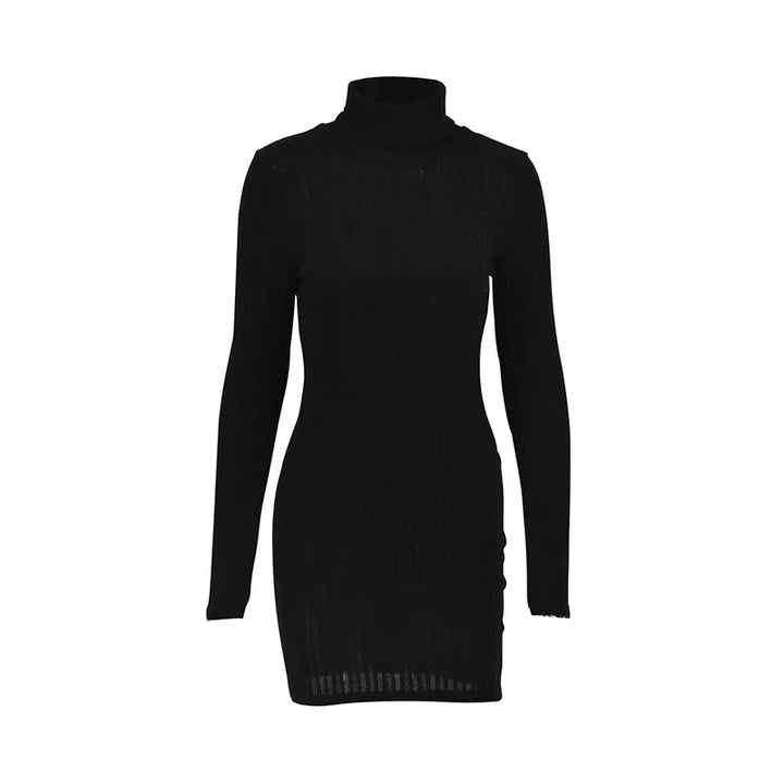 Courtney | Sleek Ribbed Turtleneck Dress
